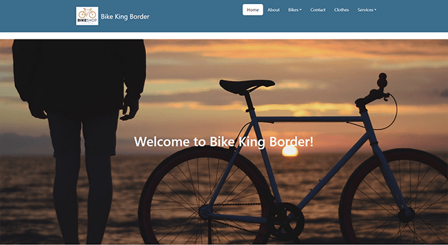 Bike Website image